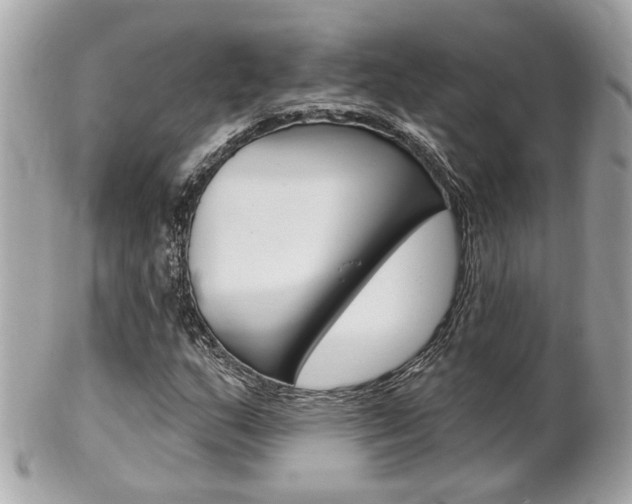 X0000102001159200807180842