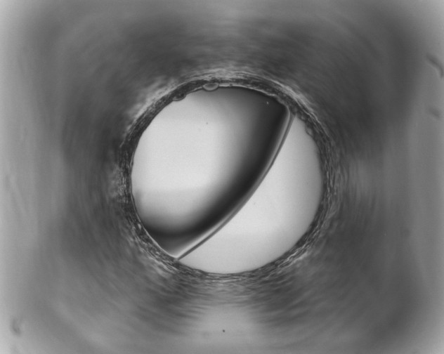 X0000102001160200807180842