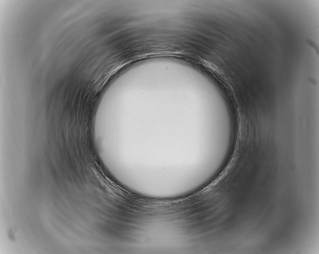 X0000102001161200807180842