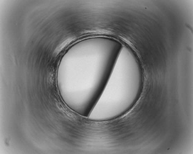 X0000102001163200807180842