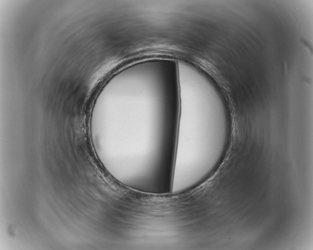 X0000102001164200807180842