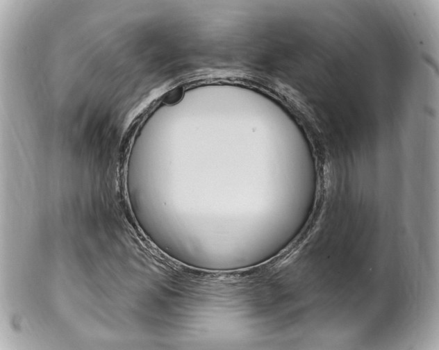X0000102001165200807180842