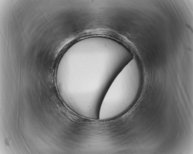 X0000102001166200807180842