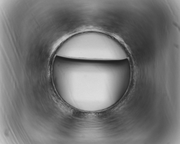 X0000102001167200807180842