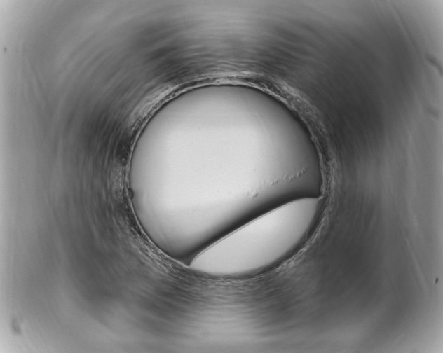 X0000102001169200807180842