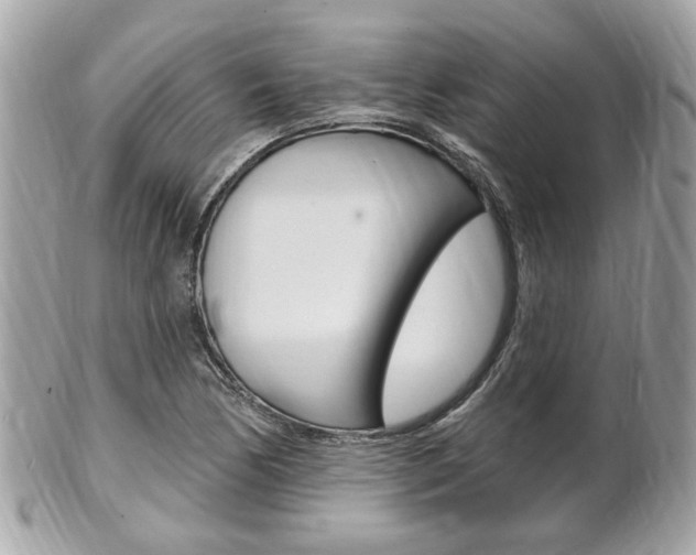 X0000102001170200807180842