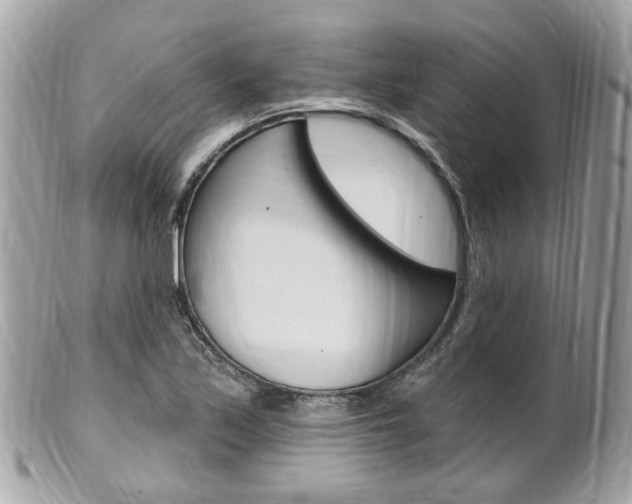 X0000102001171200807180842