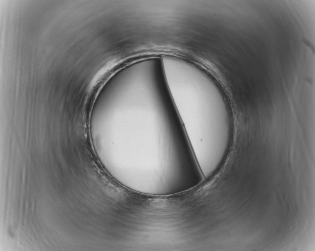 X0000102001172200807180842
