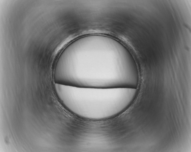 X0000102001173200807180842