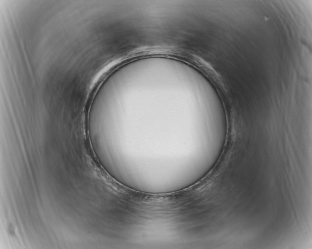 X0000102001174200807180842