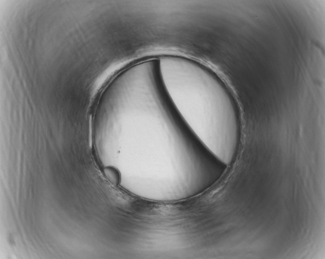 X0000102001175200807180842