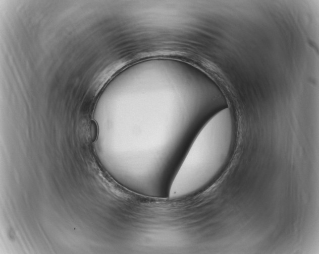 X0000102001177200807180842