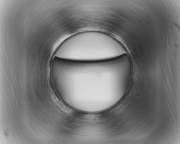 X0000102001179200807180841