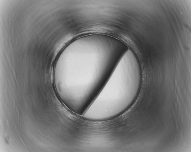 X0000102001180200807180841
