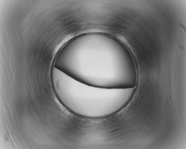 X0000102001181200807180841