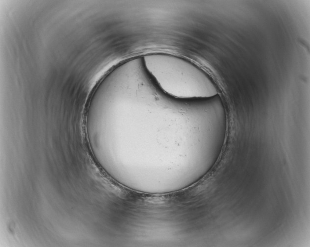 X0000102001182200807180841