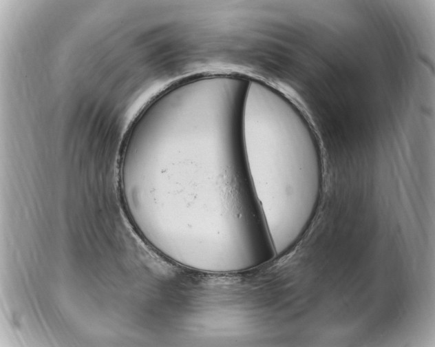 X0000102001183200807180841