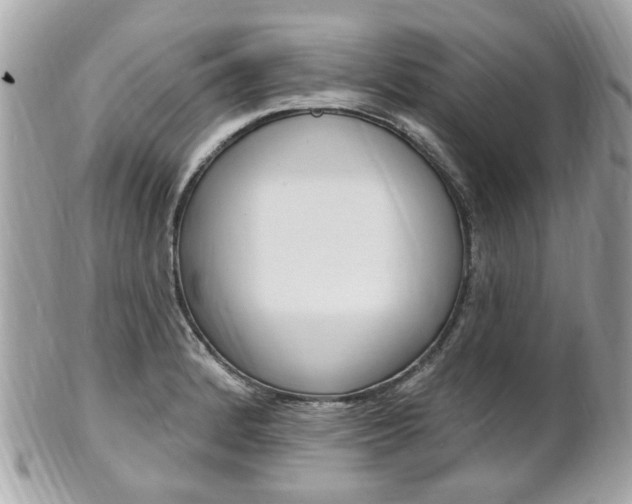 X0000102001184200807180841