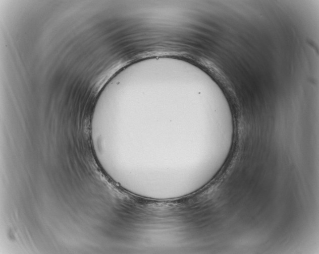X0000102001185200807180841