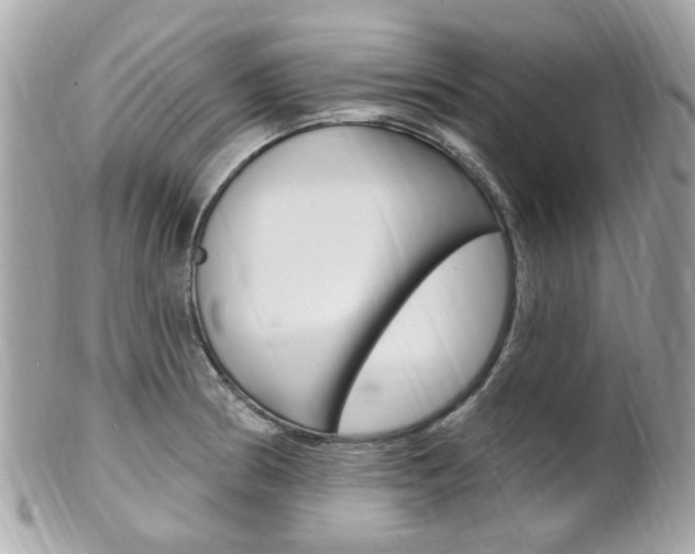 X0000102001186200807180841