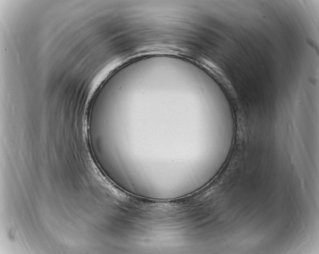 X0000102001188200807180841
