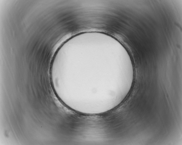 X0000102001189200807180841