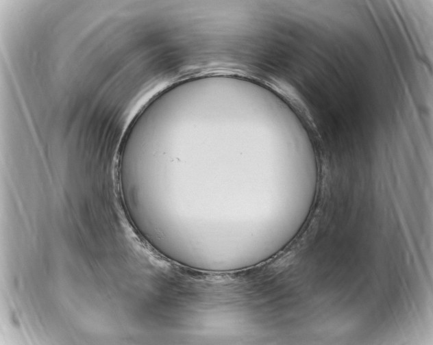 X0000102001190200807180841