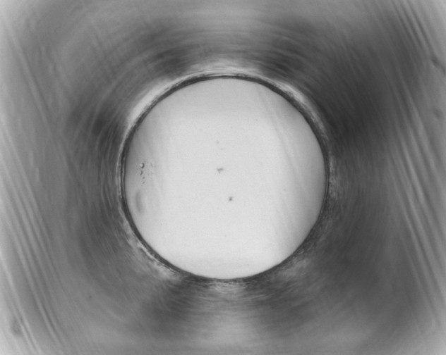 X0000102001191200807180841