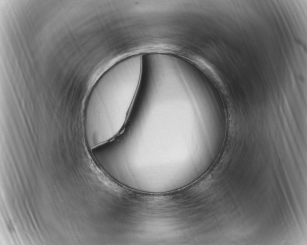 X0000102001192200807180841