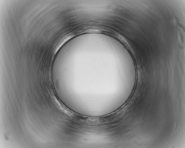 X0000102001194200807180841