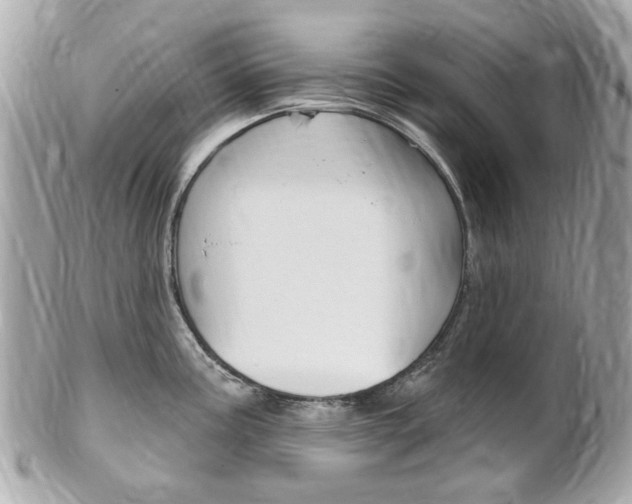 X0000102001195200807180841
