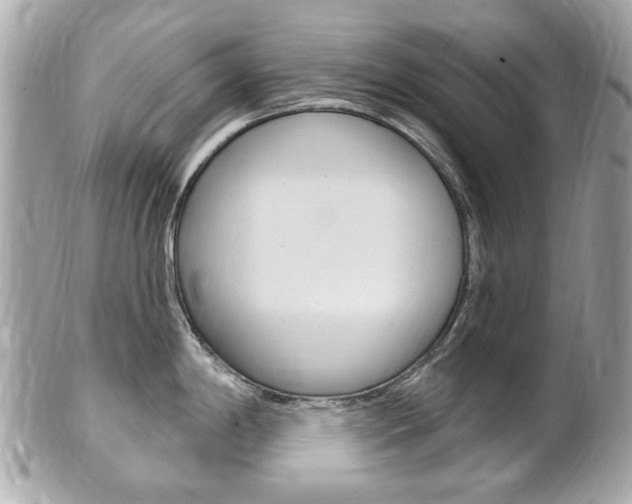 X0000102001198200807180841