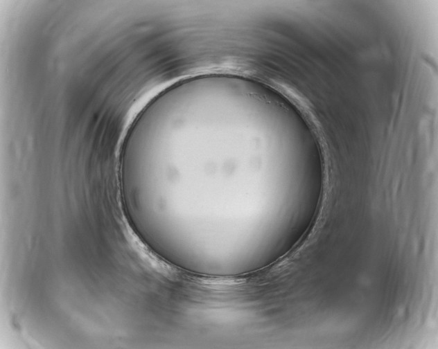 X0000102001200200807180841