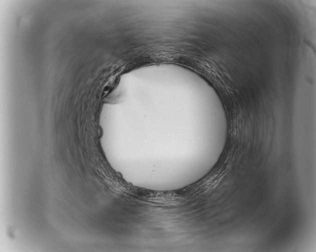 X0000102001201200807180840