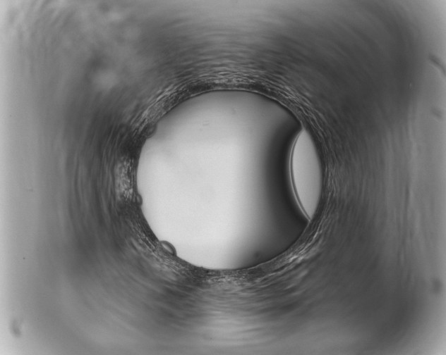 X0000102001202200807180840