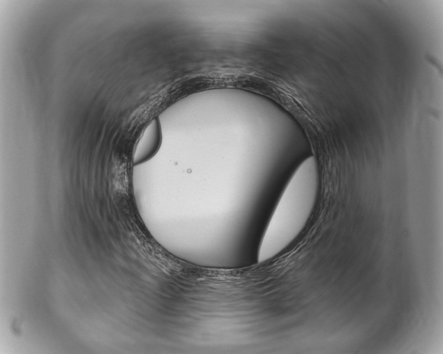 X0000102001204200807180840