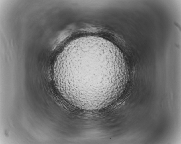 X0000102001205200807180840