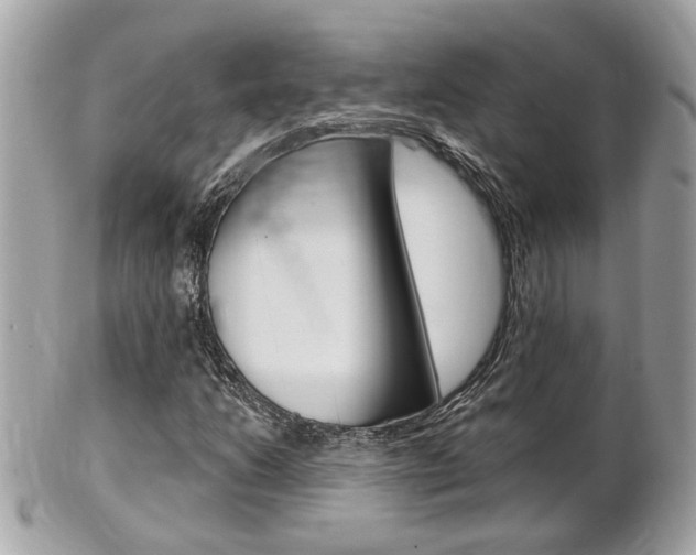 X0000102001206200807180840