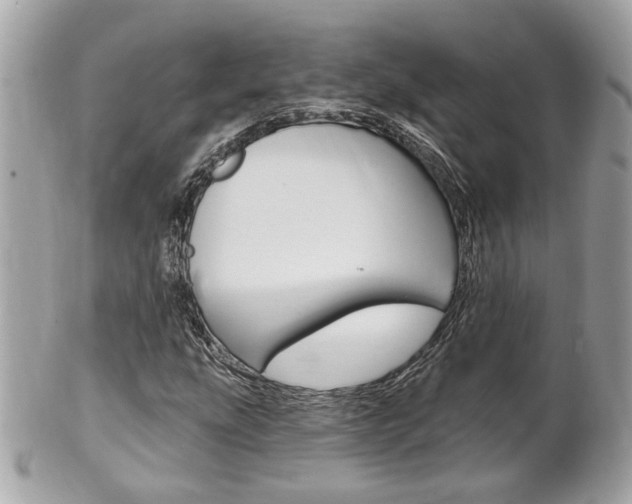 X0000102001207200807180840