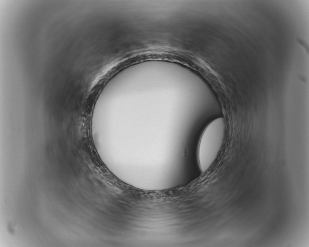 X0000102001208200807180840