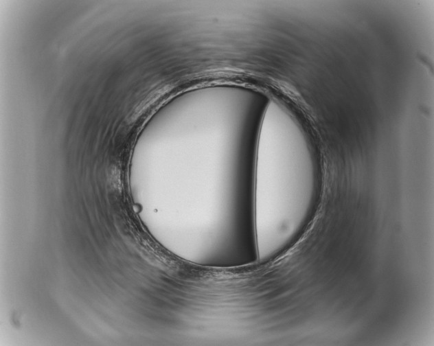 X0000102001209200807180840