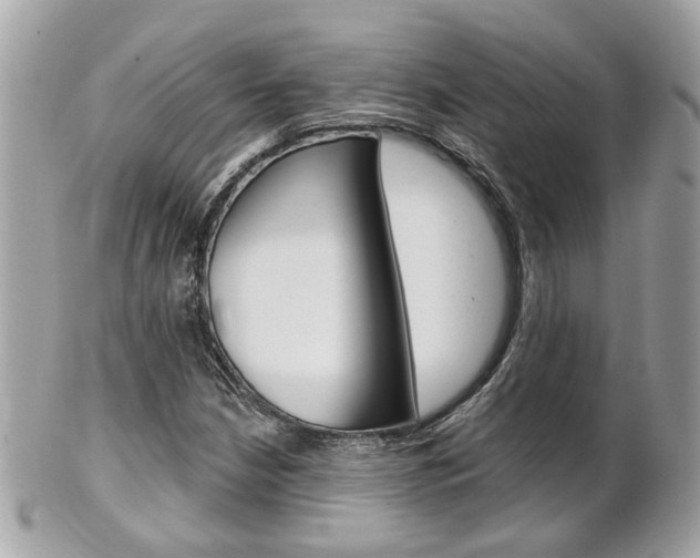 X0000102001210200807180840