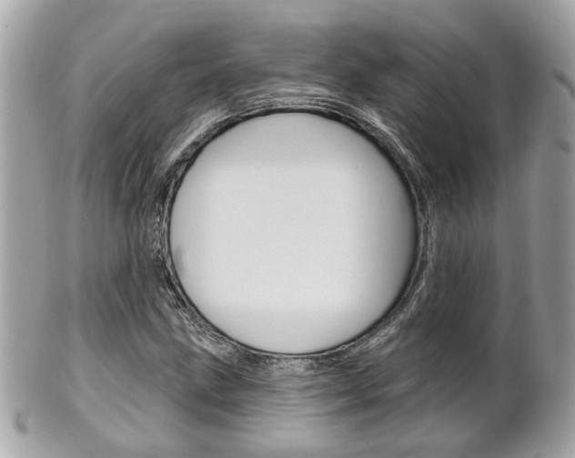 X0000102001211200807180840