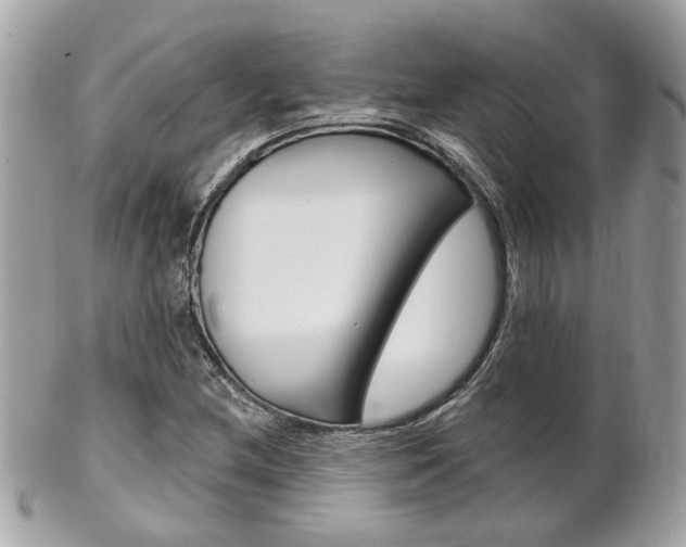 X0000102001212200807180841