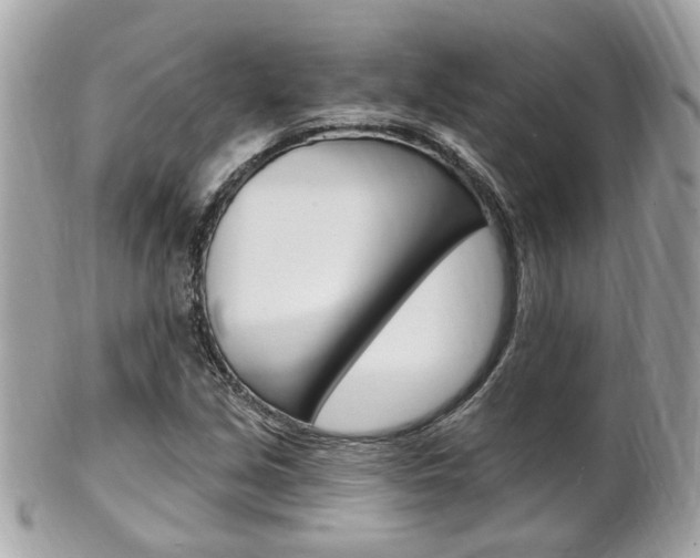 X0000102001213200807180841