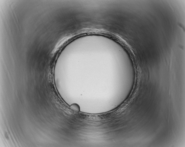 X0000102001215200807180841