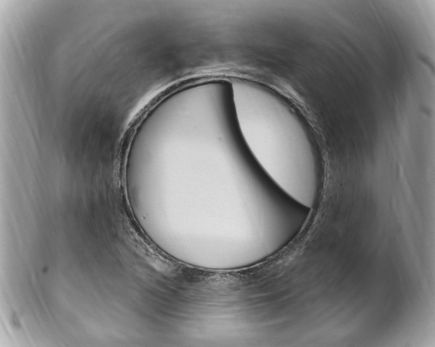X0000102001216200807180841