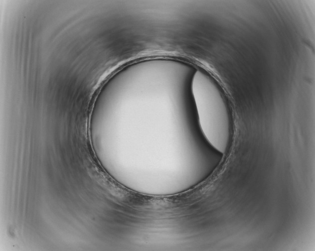 X0000102001220200807180841