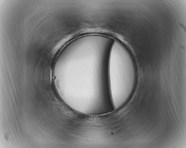 X0000102001221200807180841