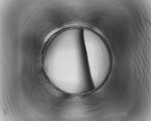 X0000102001222200807180841